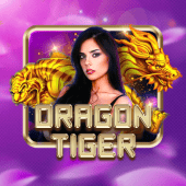 amjili live casino Dragon Tiger icon